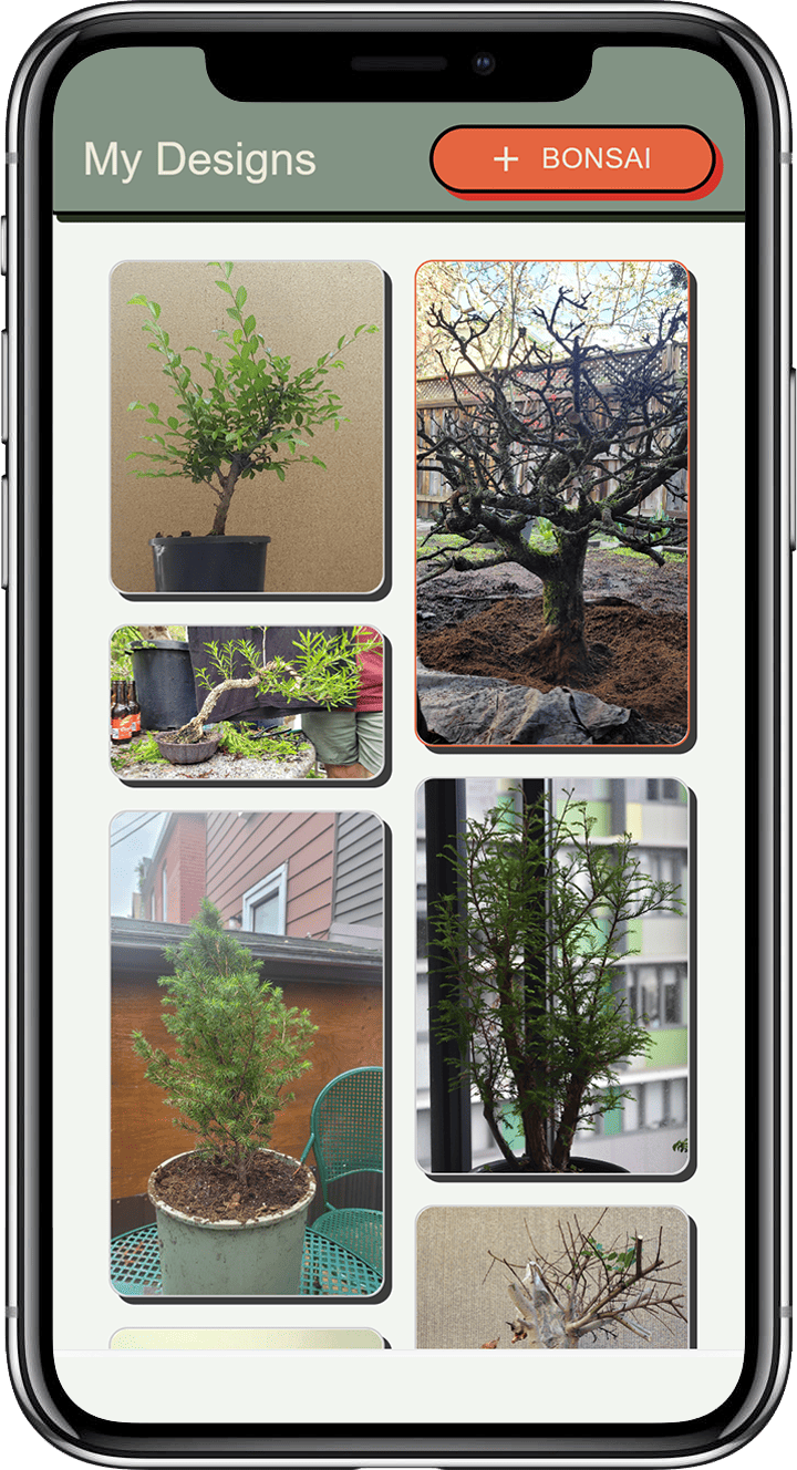 app screenshot of dashboard with bonsai designs
